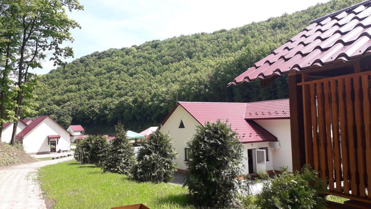 Mishyn-City Hotel Dobrovlyany Dış mekan fotoğraf